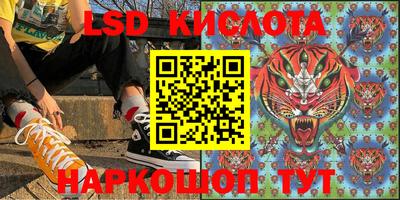 ПСИЛОЦИБИНОВЫЕ ГРИБЫ Новокубанск