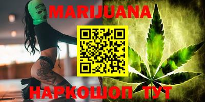 стаф Новозыбков