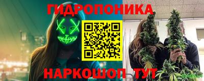 ПСИЛОЦИБИНОВЫЕ ГРИБЫ Новокубанск