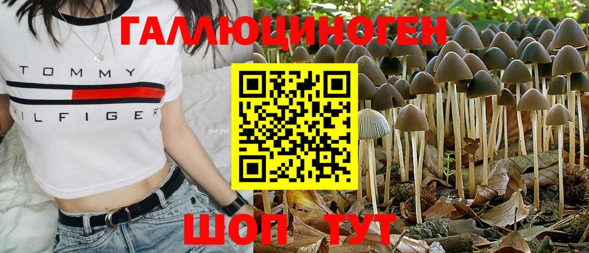 Псилоцибиновые грибы прущие грибы Славгород