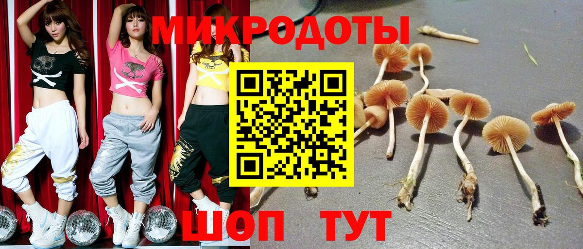 Галлюциногенные грибы прущие грибы  Вход с VPN  Славгород  Галлюциногенные грибы мухоморы 